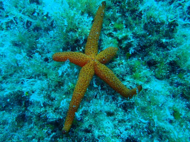 foto 31.05.19 18 30 40